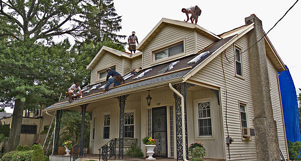 Best Storm Damage Roof Repair  in Wink, TX